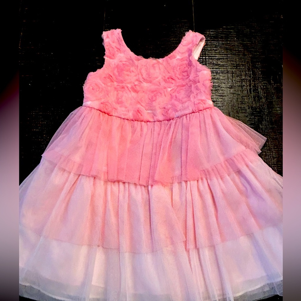 Pink Tulle Dress 
Size 4T
Girls 
Excellet condition